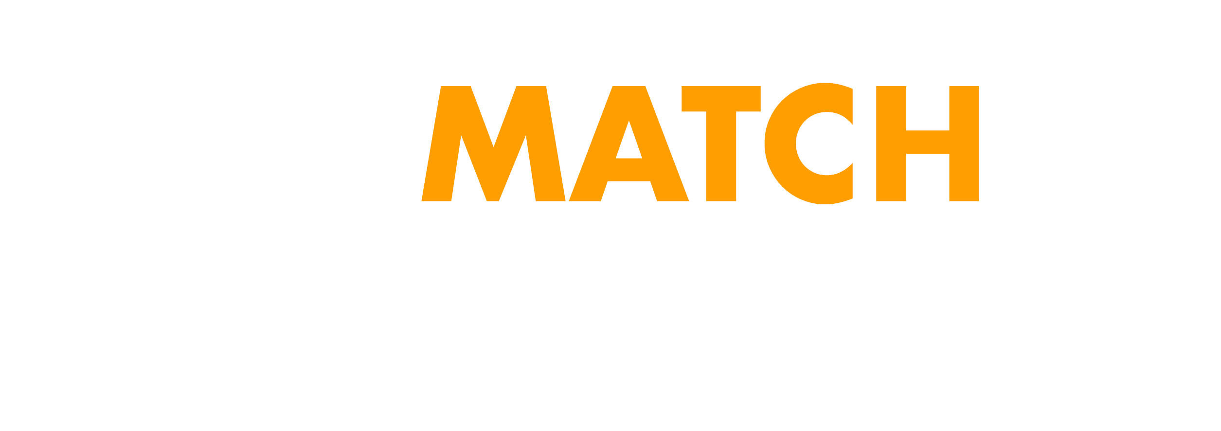 VisiMatch TERMINAL